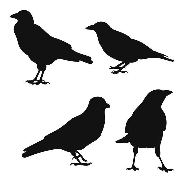 Conjunto de vectores cuervo cuervo corvus de pie diferentes paquetes de siluetas de aves dibujar a mano vector aislado