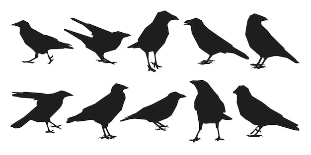 Conjunto de vectores cuervo cuervo corvus de pie diferentes paquetes de siluetas de aves dibujar a mano vector aislado