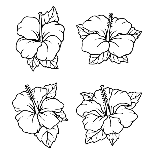 Conjunto de vectores dibujados a mano de hibisco