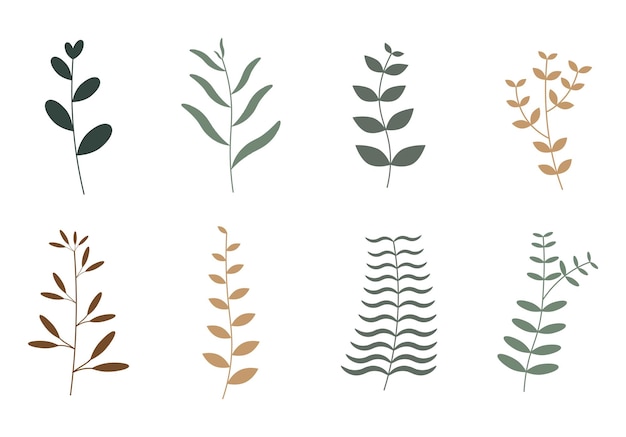 conjunto de vectores dibujados a mano hojas ramas florales plantas ilustración
