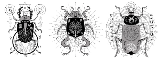 Vector conjunto de vectores de diseño con insectos decorados místicos y símbolos esotéricos