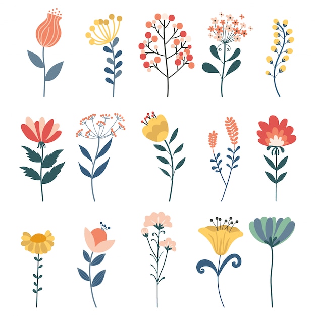 Conjunto de vectores de elementos florales del doodle. hierbas, conjunto de botánica vector dibujado a mano.