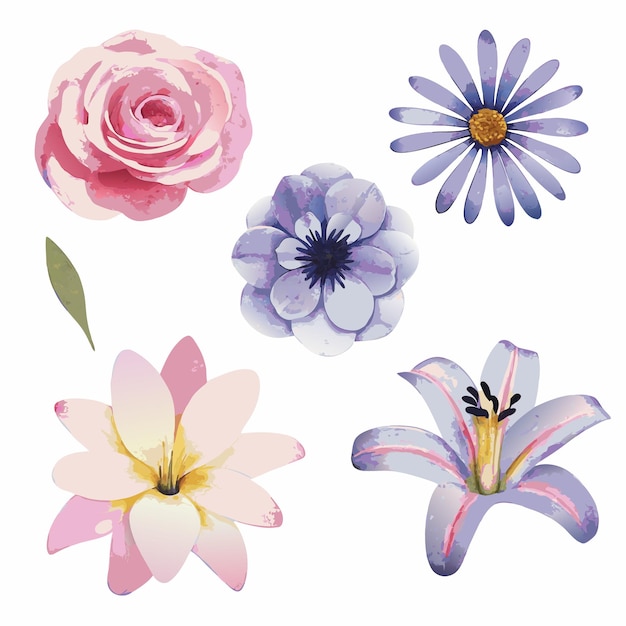 conjunto de vectores florales de acuarela