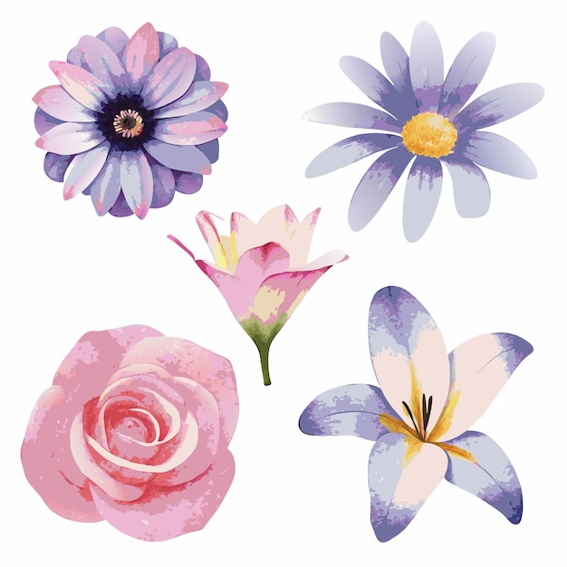 conjunto de vectores florales de acuarela