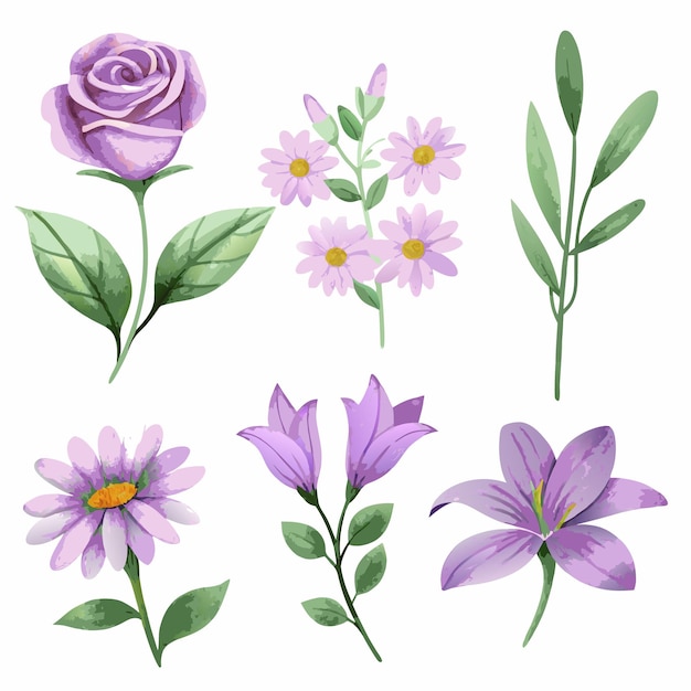 conjunto de vectores florales de acuarela