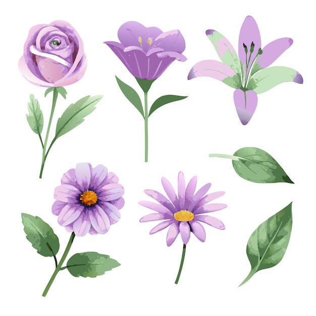 conjunto de vectores florales de acuarela