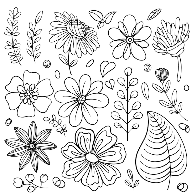 Conjunto de vectores florales dibujados a mano con hojas y ramas Colección de bocetos florales Elementos decorativos para el diseño Ilustración vectorial