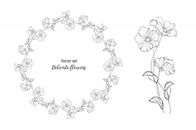 Conjunto de vectores Flores delicadas