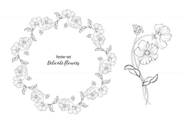 Conjunto de vectores Flores delicadas