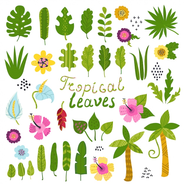 Conjunto de vectores de flores y hojas tropicales