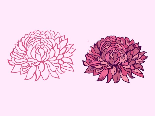 Conjunto de vectores de flores Ilustración de flores de dahlia dibujadas a mano