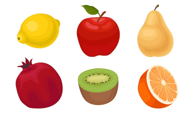 Conjunto de vectores de frutas tropicales aislados sobre un fondo blanco Colección de iconos de frutas coloridos cortados a la mitad