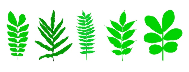 Conjunto de vectores de hojas de brotes de plantas verdes en crecimiento Ilustración del vector de la hoja de árbol verde