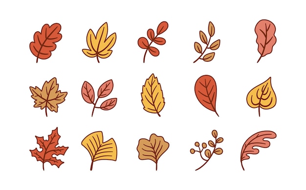 Conjunto de vectores de hojas de otoño