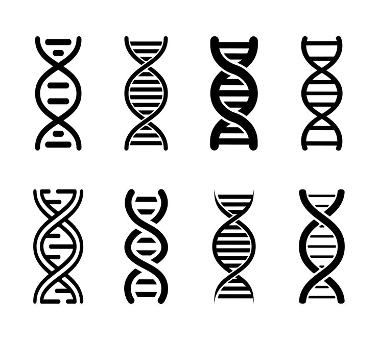 Vector conjunto de vectores de íconos de adn de genetica