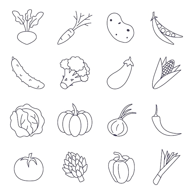 Vector conjunto de vectores iconos de comida en blanco y negro verduras, patatas, zanahorias, alcachofas, repollo, guisantes y más