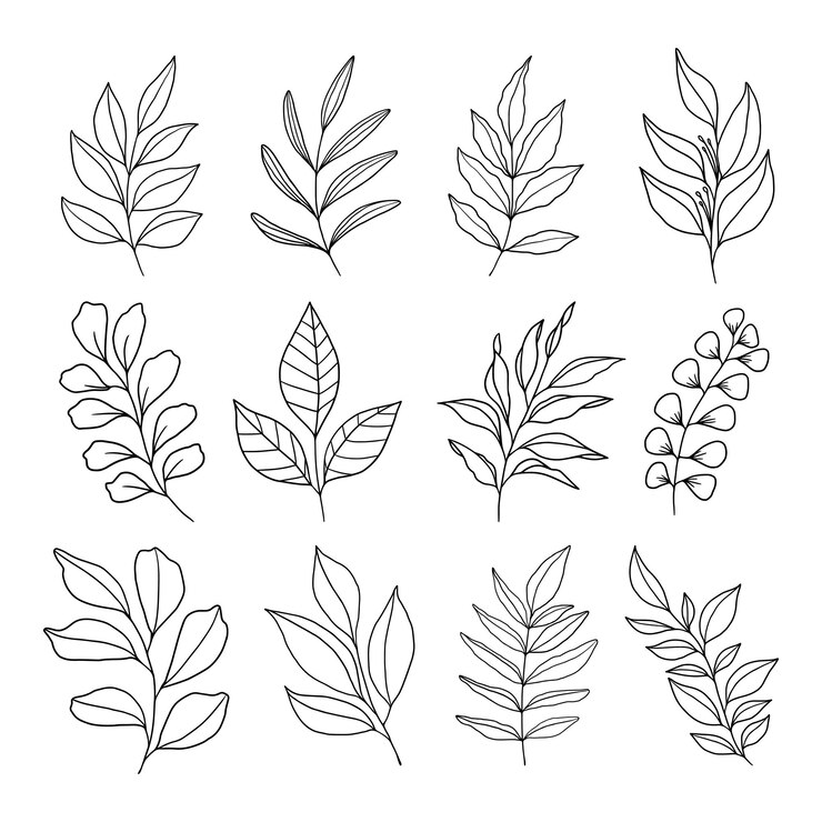 Vector conjunto de vectores de ilustración de hojas