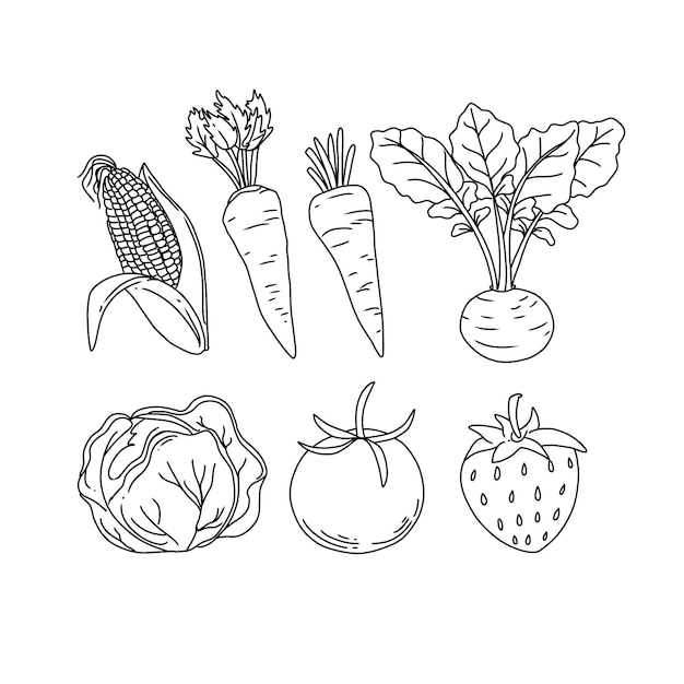 conjunto de vectores de ilustraciones de fideos dibujados a mano de verduras