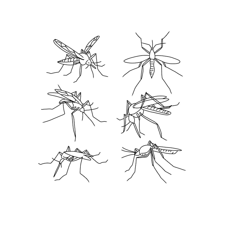 Vector conjunto de vectores de ilustraciones de garabatos dibujados a mano de mosquitos