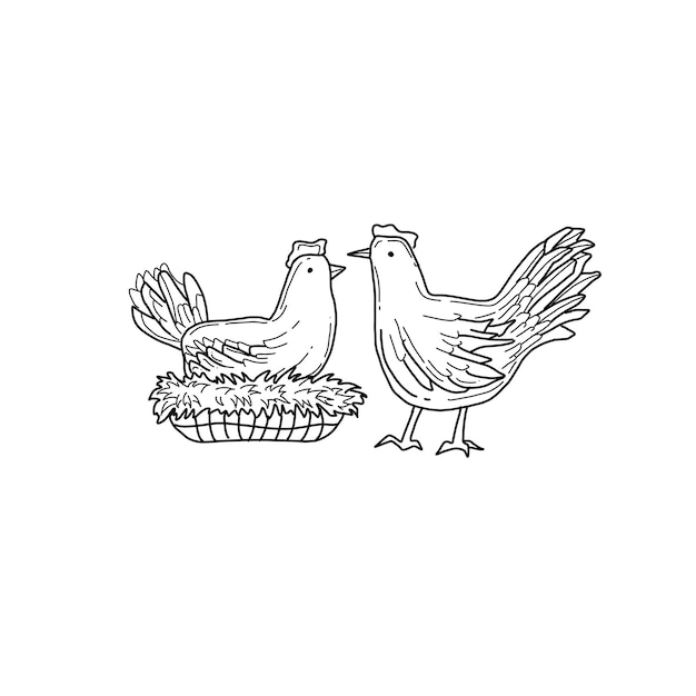 conjunto de vectores de ilustraciones de garabatos dibujados a mano de pollo