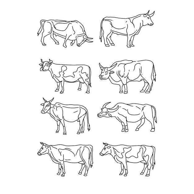 Vector conjunto de vectores de ilustraciones de garabatos dibujados a mano de vaca