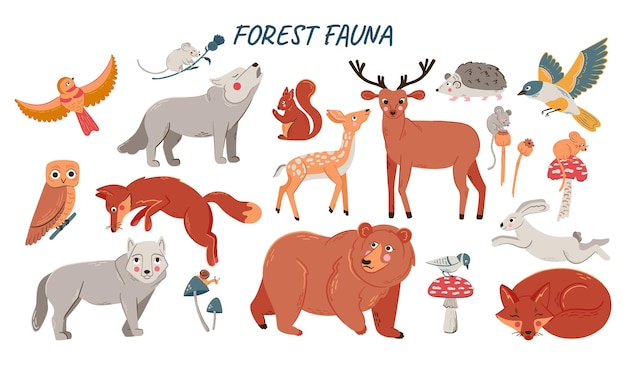 Conjunto de vectores de lindos animales del bosque para baby shower y diseño de niños