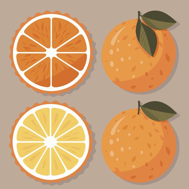 Vector conjunto de vectores de naranjas