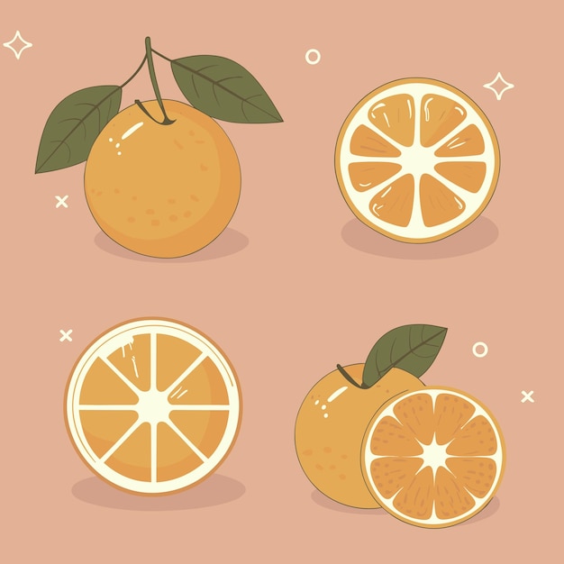 Vector conjunto de vectores de naranjas