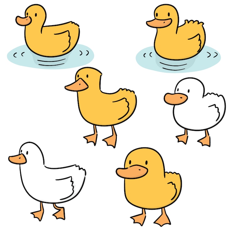 Vector conjunto de vectores de pato