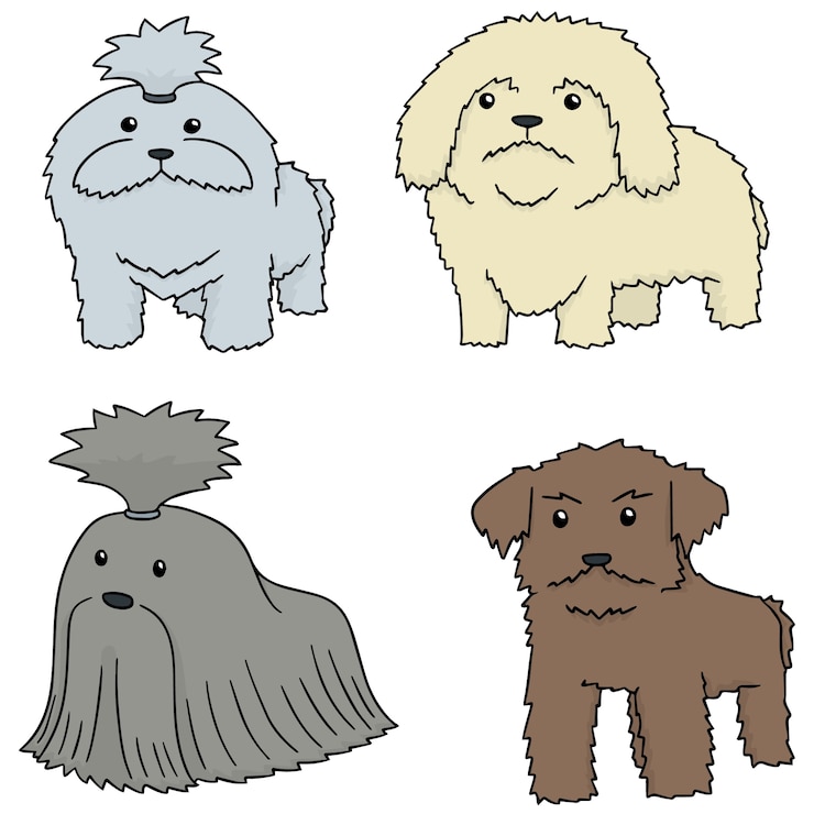 Vector conjunto de vectores de perro, shih tzu