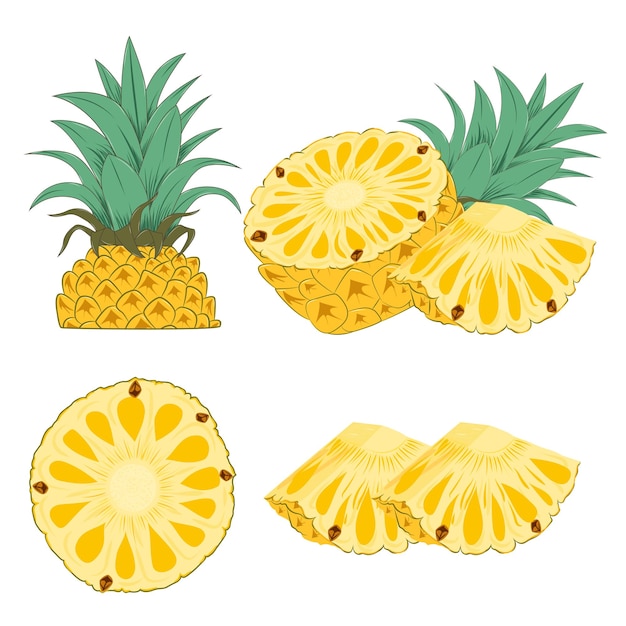 Vector conjunto de vectores de piña fresca