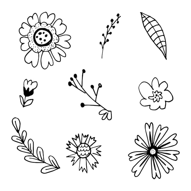 Vector conjunto de vectores de pintura negra dibujada a mano con flores