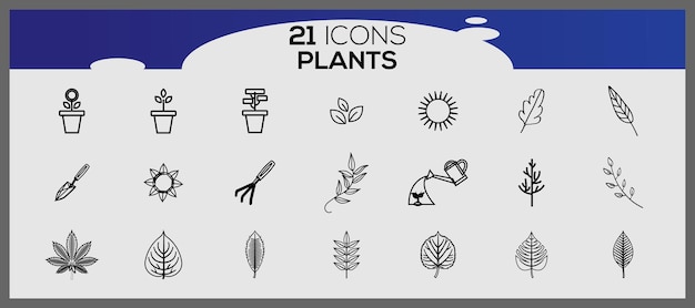 Conjunto de vectores de plantas dibujados a mano Conjunto del icono de diferentes plantas Conjunto De plantas ornamentales