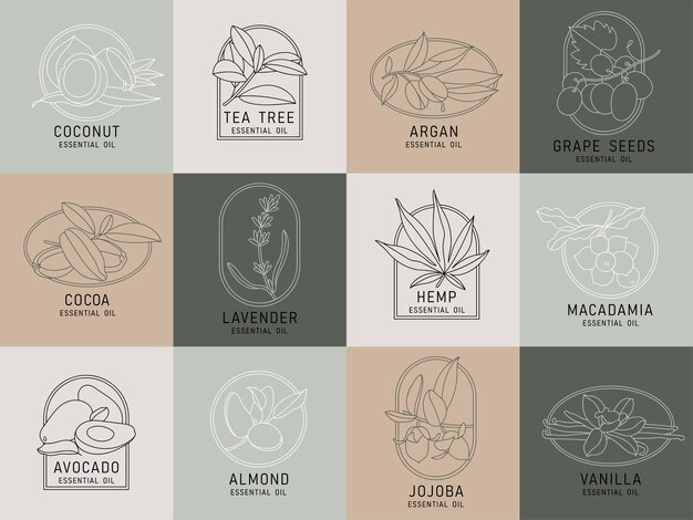 Conjunto de vectores plantillas de diseño y emblemas aceites cosméticos saludables y esenciales Diferentes aceites orgánicos naturales Logos en estilo lineal de moda