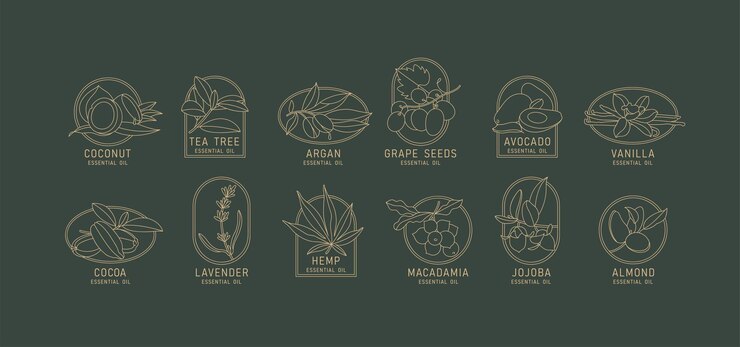 Conjunto de vectores plantillas de diseño y emblemas aceites cosméticos saludables y esenciales Diferentes aceites orgánicos naturales Logos en estilo lineal de moda