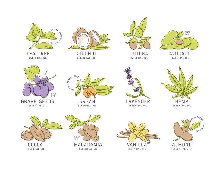 Conjunto de vectores plantillas de diseño y emblemas aceites cosméticos saludables y esenciales Diferentes aceites orgánicos naturales Logos en estilo lineal de moda