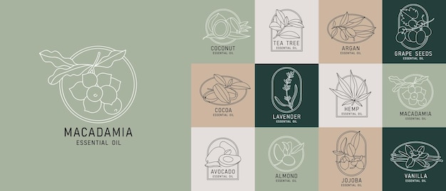 Conjunto de vectores plantillas de diseño y emblemas aceites cosméticos saludables y esenciales Diferentes aceites orgánicos naturales Logos en estilo lineal de moda