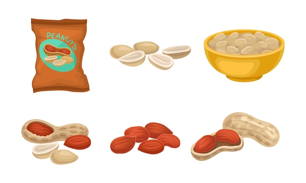 Vector conjunto de vectores de productos de cacahuete aislados sobre un fondo blanco snack de cacahuete salado envasado