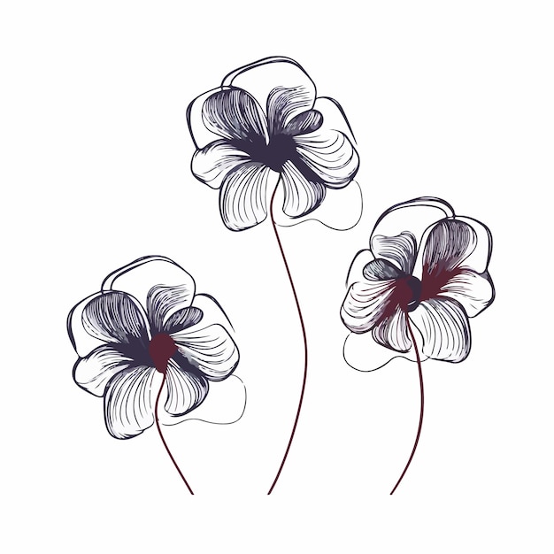 Conjunto de vectores que muestra la belleza de las flores de pensamiento
