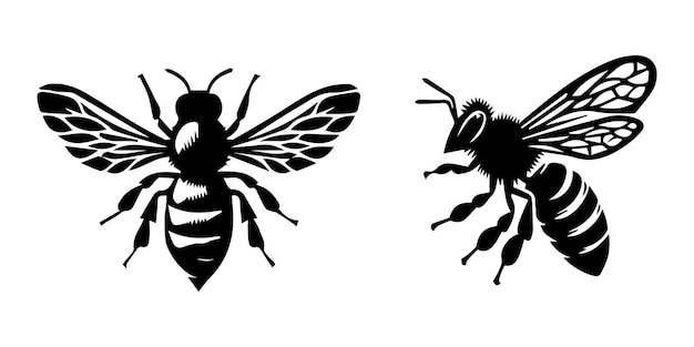 Conjunto de vectores de silueta de abeja Ilustración vectorial de un icono de abeja negra en un estilo de siluetas Miel