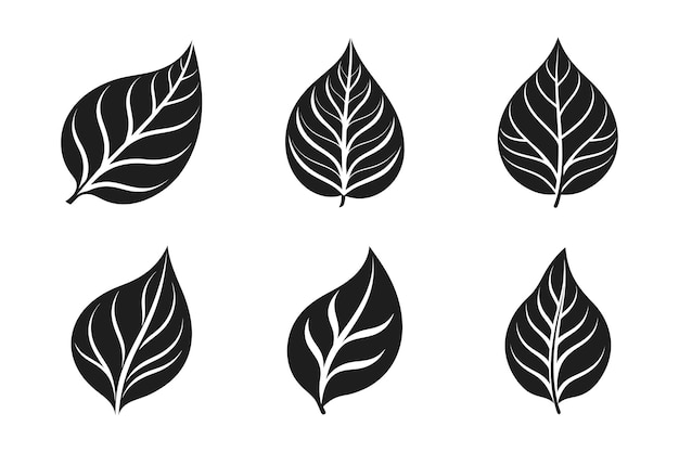 Conjunto de vectores de silueta de hojas Diseño botánico ecológico