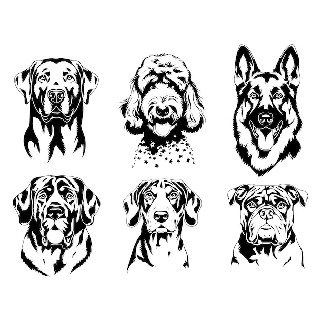 Conjunto de vectores de silueta de perro
