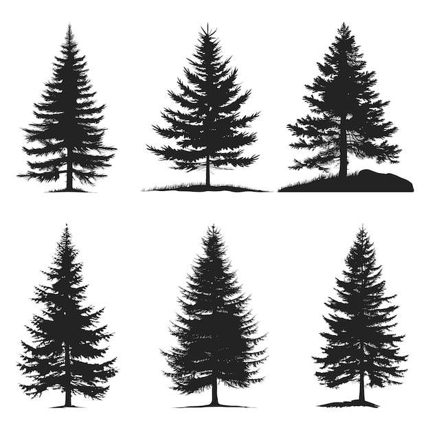 Un conjunto de vectores de silueta de pinos