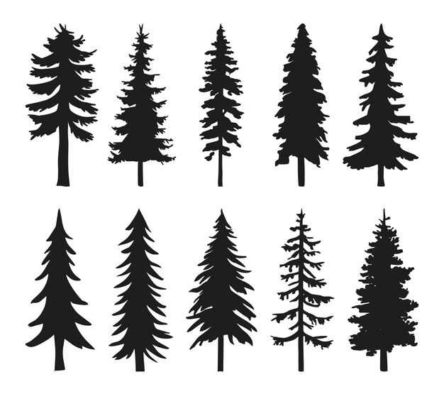Un conjunto de vectores de silueta de pinos