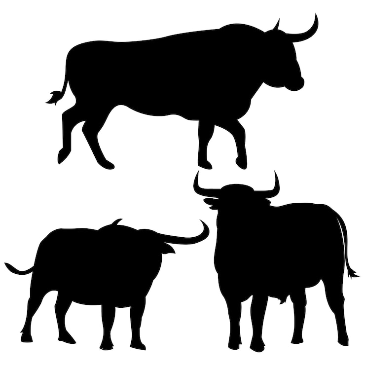 Vector conjunto de vectores de silueta de toro y búfalo aislado sobre fondo blanco