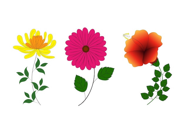 Conjunto de vectores de varias flores