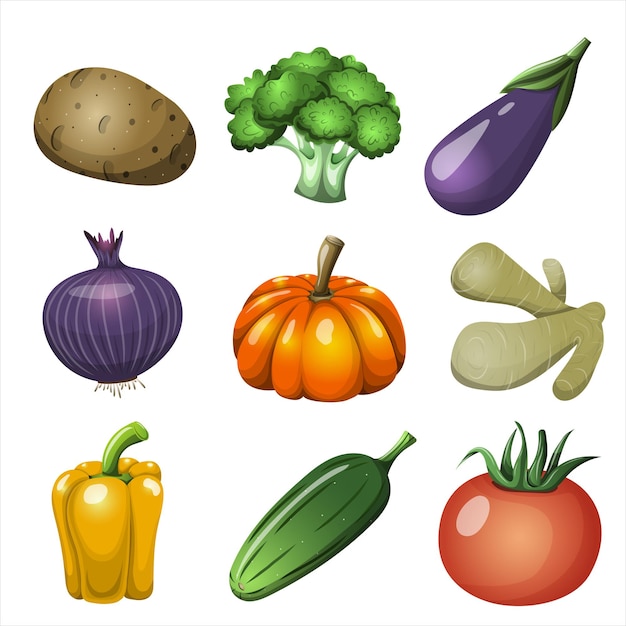 Vector conjunto de vectores de verduras ilustraciones realistas de clipart de alimentos patata brócoli berenjena calabaza jengibre