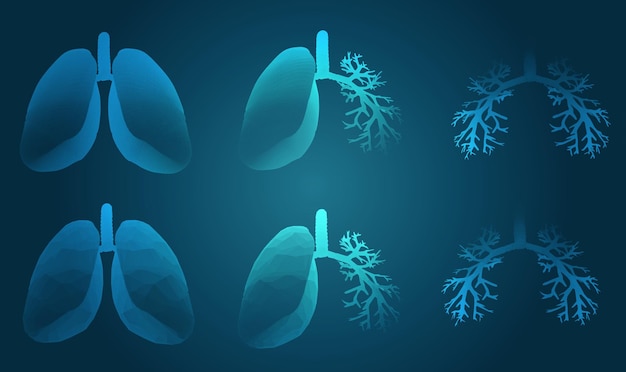 Conjunto vectorial 3D pulmones y bronquios en fondo de color Elemento para diseño médico