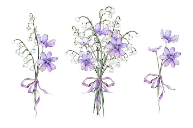 Vector conjunto vectorial de acuarela primeras flores de primavera coppice y lirio del valle delicado lilas y