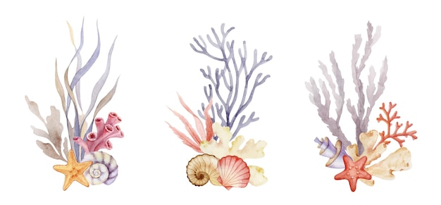 Conjunto vectorial de acuarela de ramos florales submarinos, conchas y algas